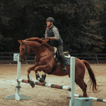 Andrea Cerofolini jumping his horse.