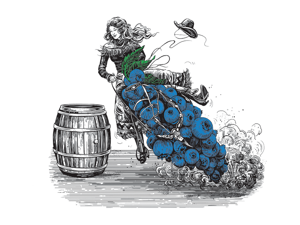 StableFeed Blueberry Chia packaging of a barrel racer riding an abstract horse made of blueberries around a barrel.
