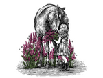 StableFeed Sainfoin Forage Pellet packaging of a horse and young girl in a field on sainfoin.