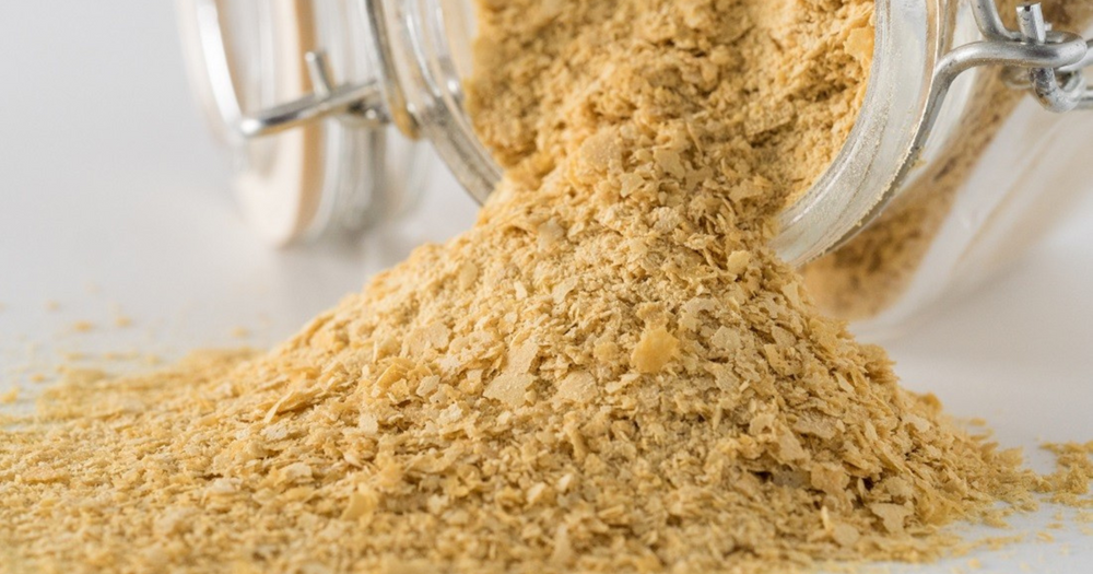 Ingredient Spotlight: Brewer's Yeast