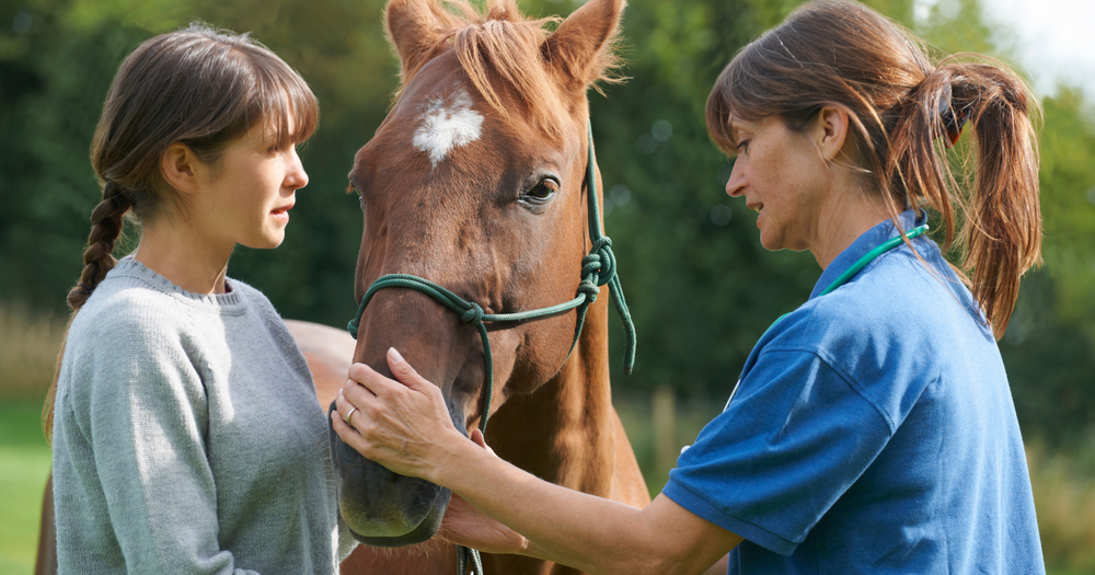 horse-allergies-treatment