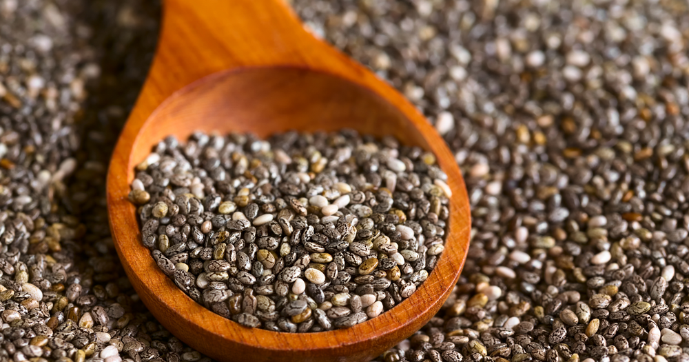 8 Common Questions About Chia for Horses Answered