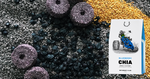 Blueberry Chia Formula