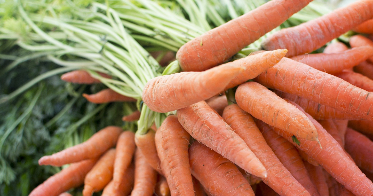 Vitamin A Deficiency in Horses