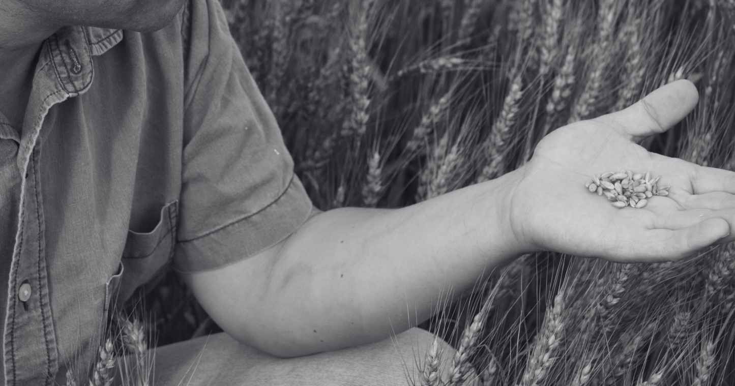 The Quiet Transformation of Agriculture
