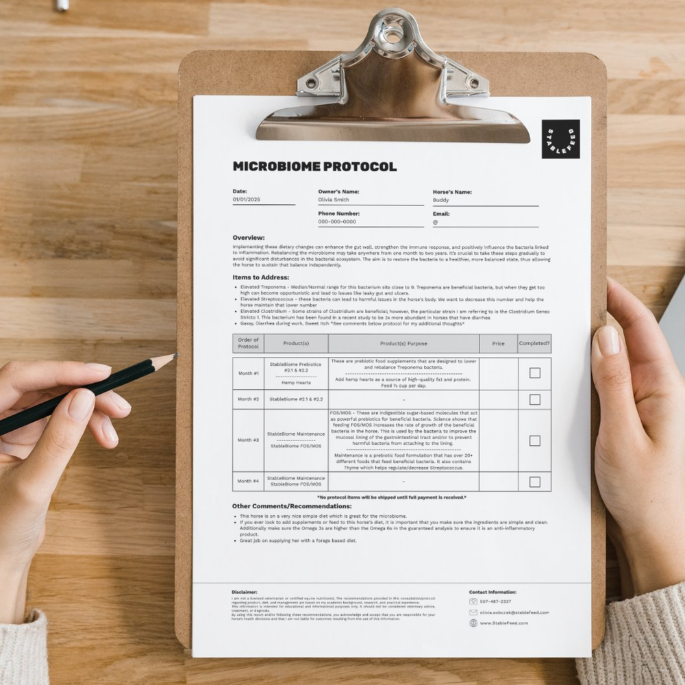 HorseyBiome Consultation