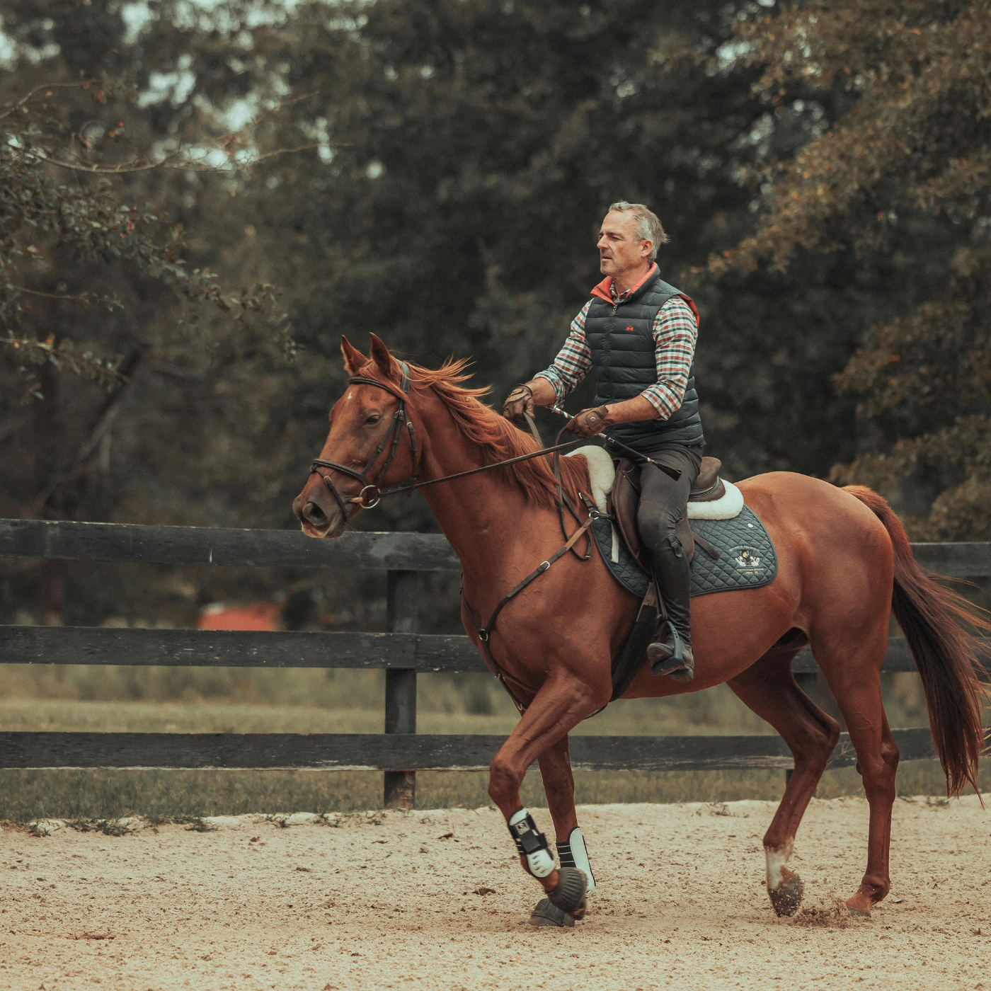 Andrea Cerofolini riding his chestnut through his arena