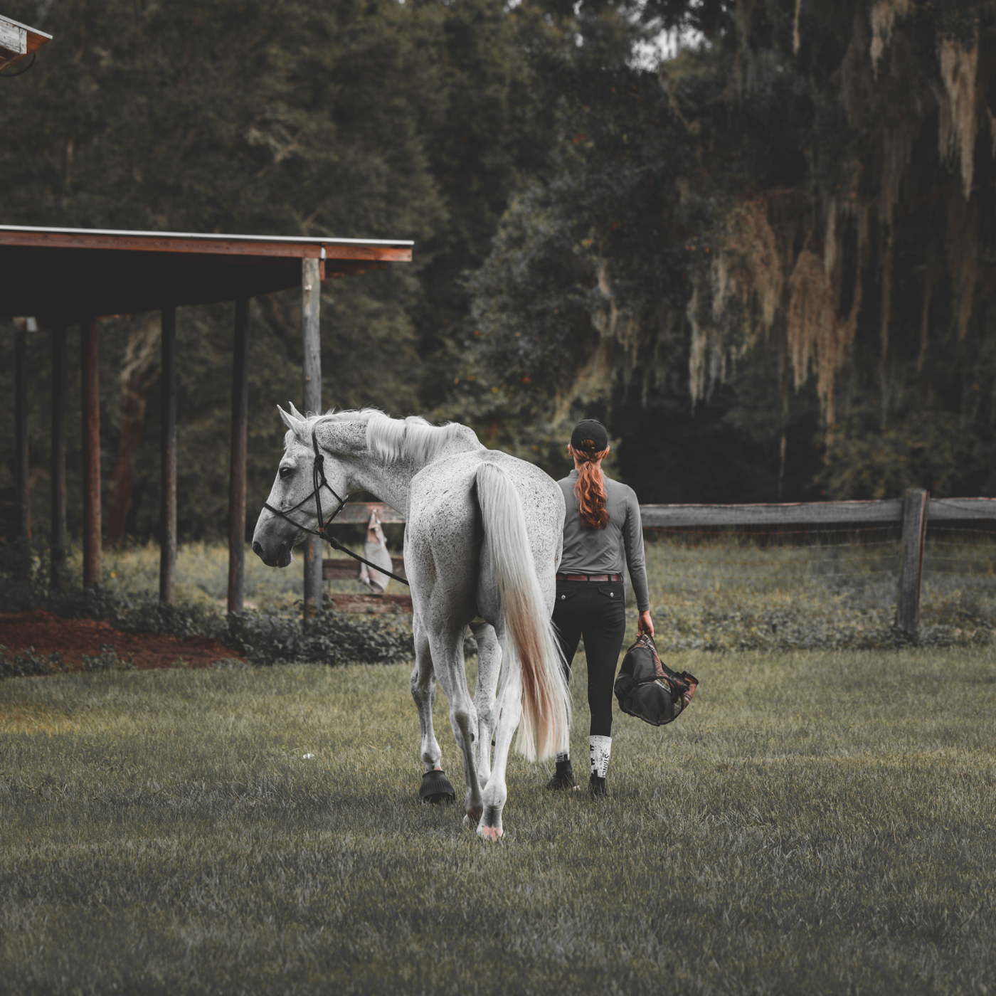 Ashlynn Meuchel walking her horse out to pasture