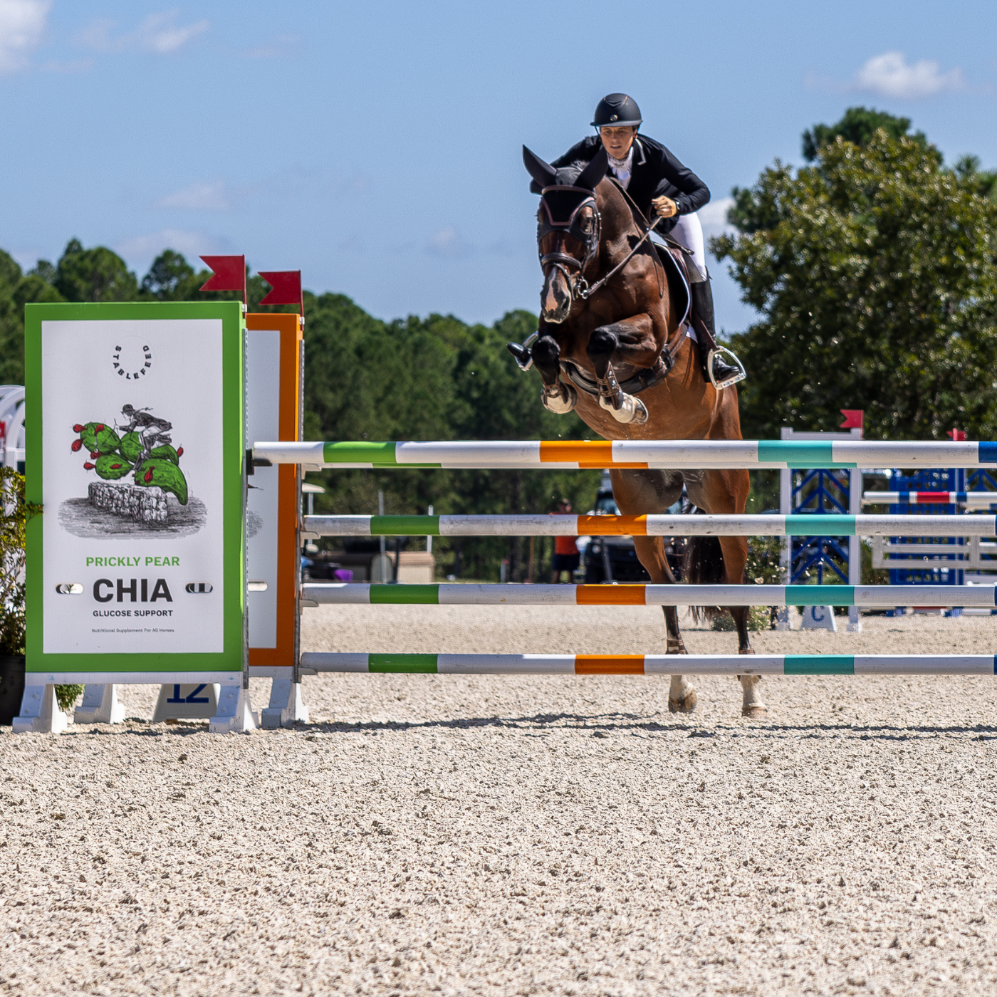 Elisa Wallace jumping over a StableFeed branded jump on a sunny day.