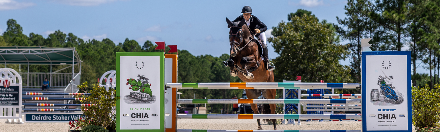 Elisa Wallace jumping over a StableFeed branded jump on a sunny day.
