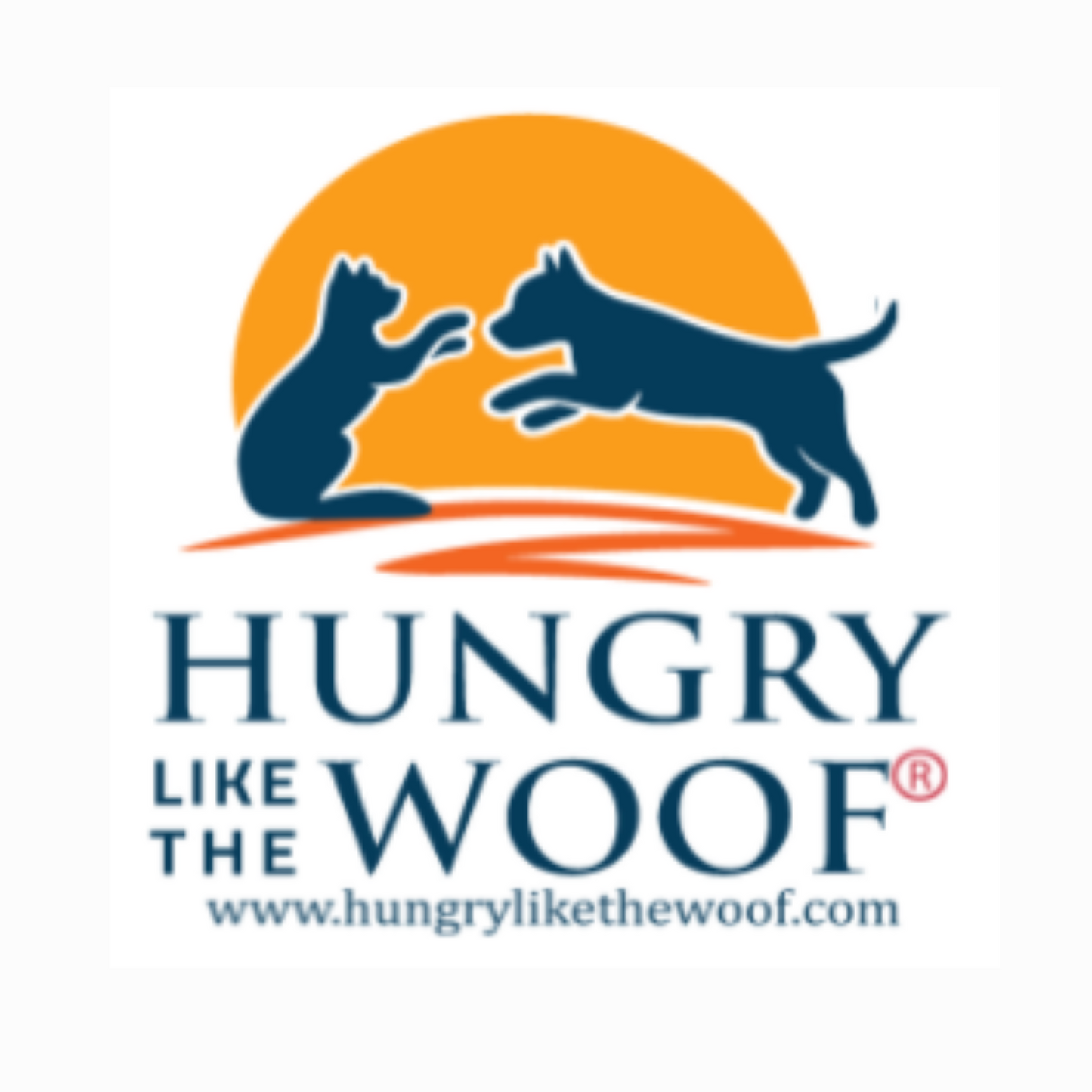 A cat and dog playing with each other, with an orange circle as the backdrop.