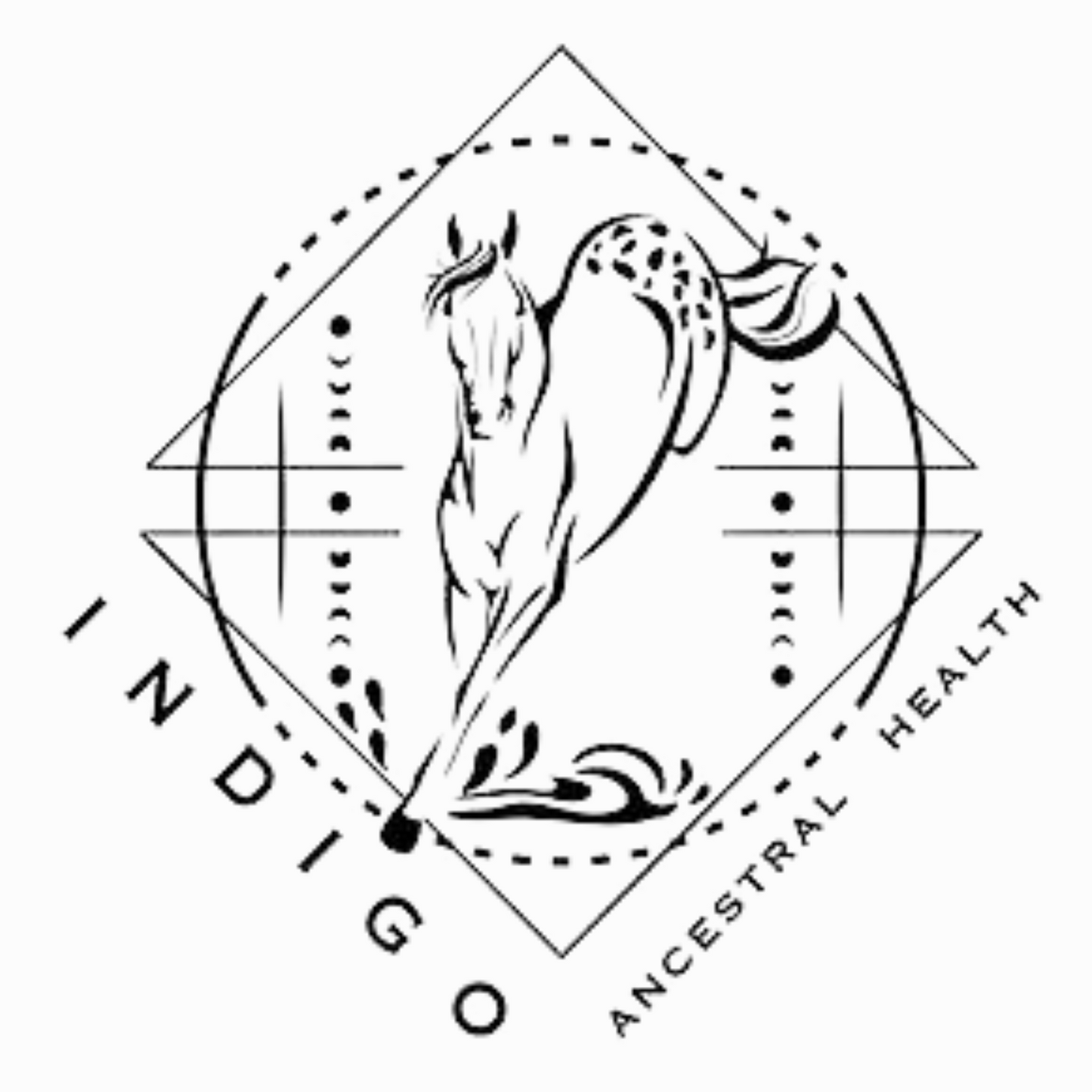 An intricate, yet delicate hand drawn horse jumping out of a circle in black and white.