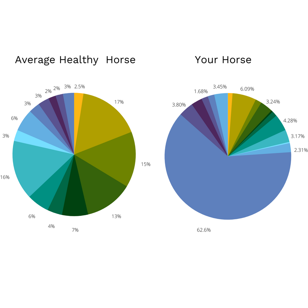 Two pie charts comparing the average diversity of a horse's microbiome with what a healthy microbiome would look like.