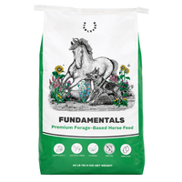 Fundamentals