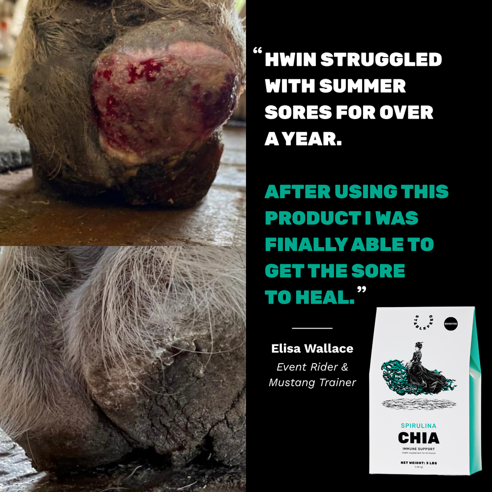 Boosted Spirulina - Immune Support