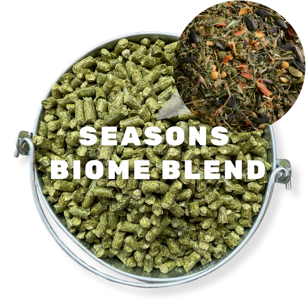The Seasons Biome Blend feed contains a leafy mixture of organic plant material that is meant to replicate the natural environment to support microbial health
