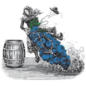 StableFeed Blueberry Chia packaging of a barrel racer riding an abstract horse made of blueberries around a barrel.