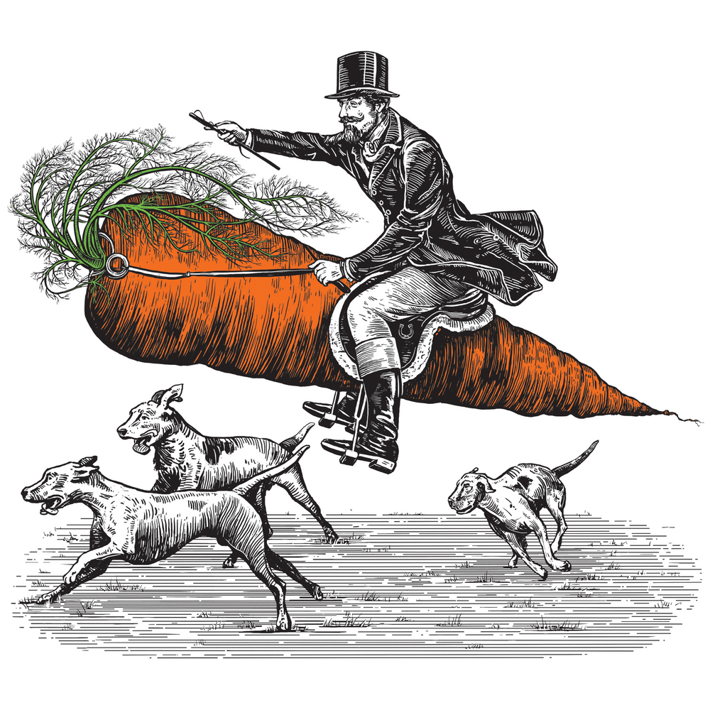 StableFeed Carrot Chia packaging of a huntsman riding an abstract horse that looks like a carrot surrounded by hounds on a hunt.