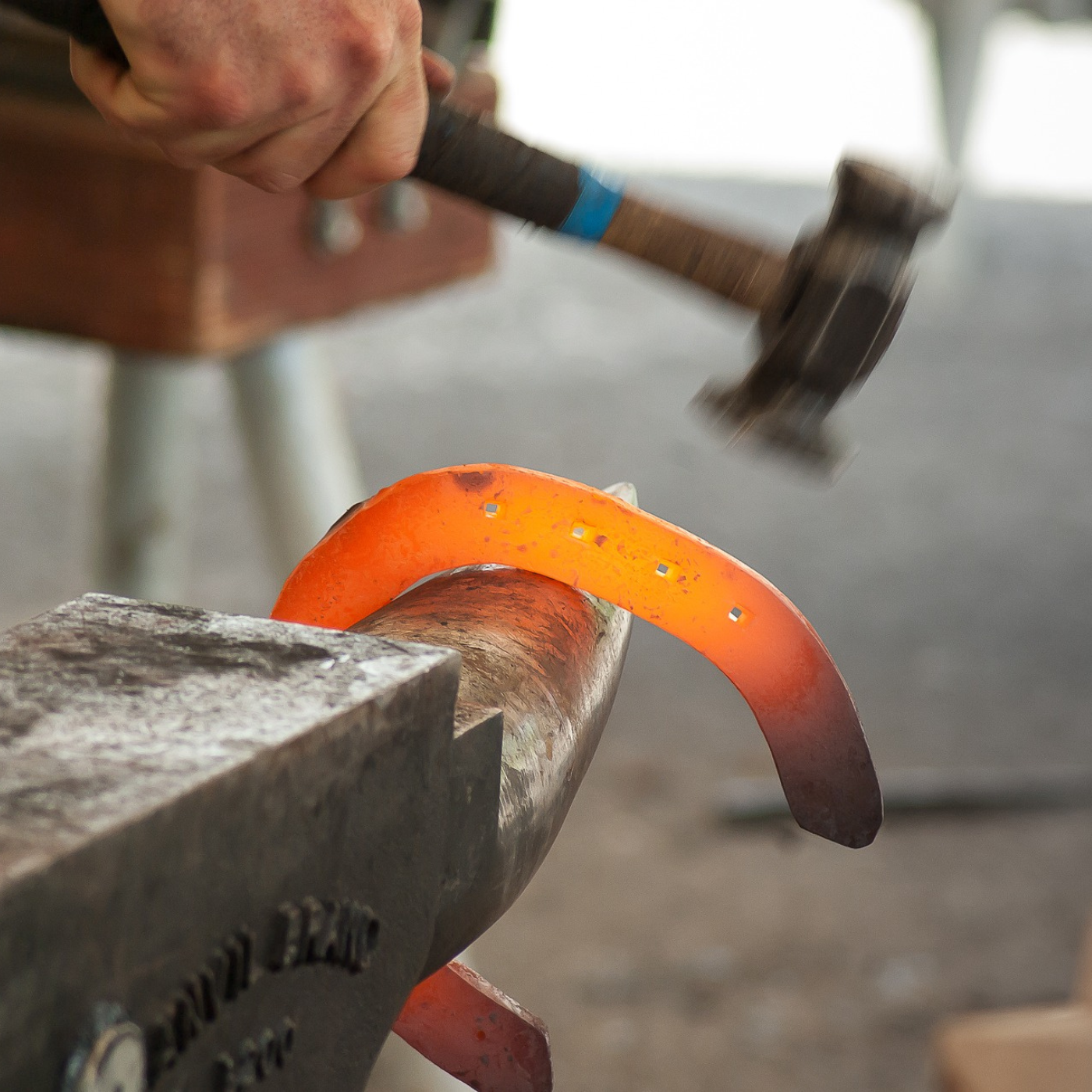A farrier shaping a hot horse shoe