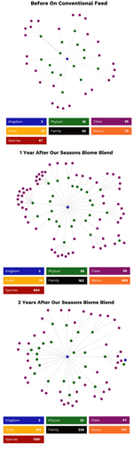 Three graphs showing our sponsored rider's horse, Theo's microbiome diversity before, during and after feeding StableFeed products. The during and after graphs showed increased population and diversity in the microbiome. 