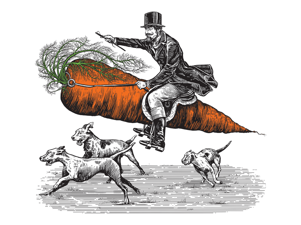 StableFeed Carrot Chia packaging of a huntsman riding an abstract horse that looks like a carrot surrounded by hounds on a hunt